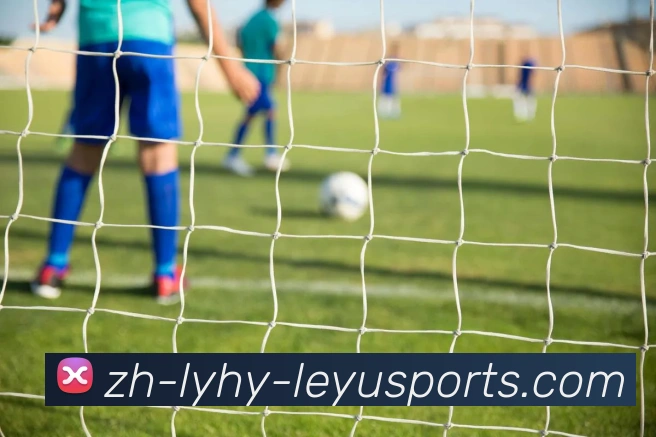 乐鱼体育发展历程